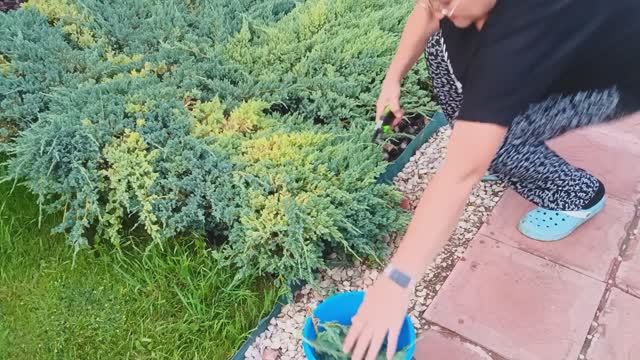 17.06.2025г.3 Часть//НЕ ХОЧУ ДОМОЙ ЗАХОДИТЬ🌛// ПРОСТАЯ СЕЛЬСКСЯ ЖИЗНЬ🏡