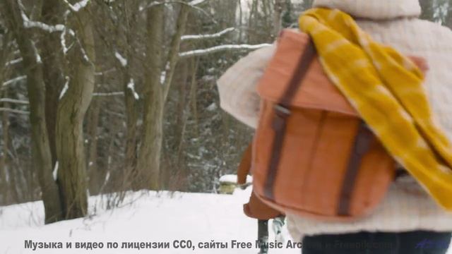 Леса манят сильнее, когда сопровождает такой саунд - Langenius Son Of Beethoven -- Colin Langenus --