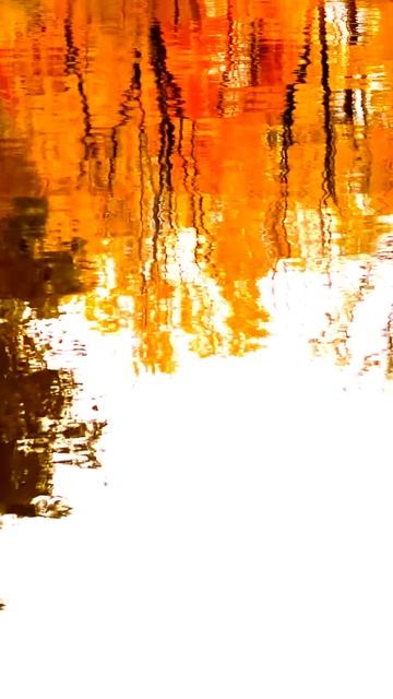 Секреты камеры