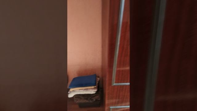 VID_20250620_193603.mp4