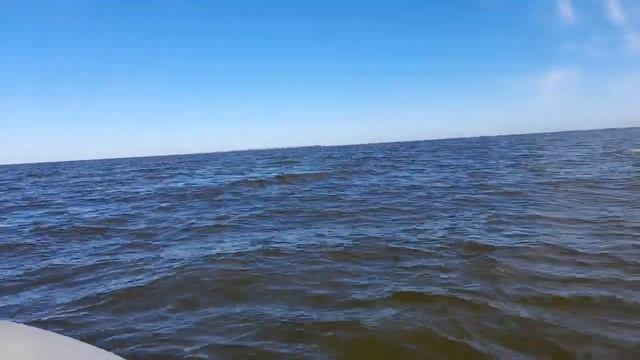 Рыбалка на Финском заливе. Отчёт за 16.07.2023. ЮБРЛС.