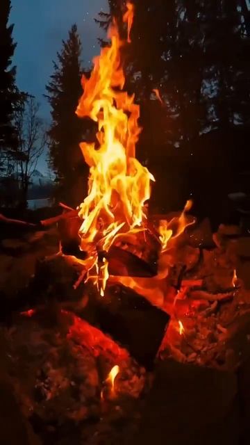 Мир и Красота
