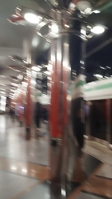 Станция метро "Беговая"