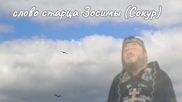 Не бойся, малое стадо! - слово старца Зосимы (Сокур)