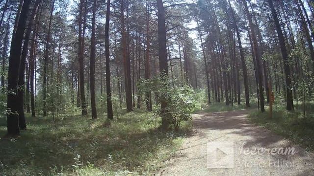 Майская съемка ролика от Еретнова В.Б. Прогулка в парке.