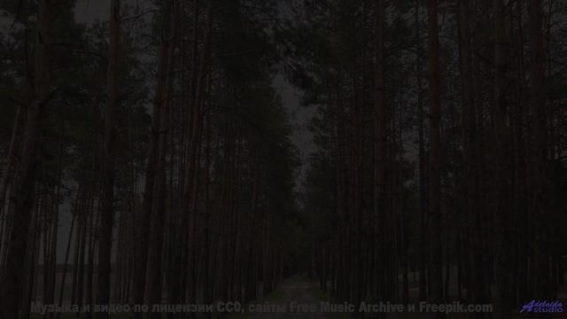Этот бит бьёт сильнее, чем волны о скалы! - Gothic Dance Floor -- Origami Repetika -- 2021 Tracks