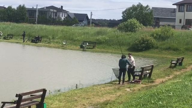 поимка карпа