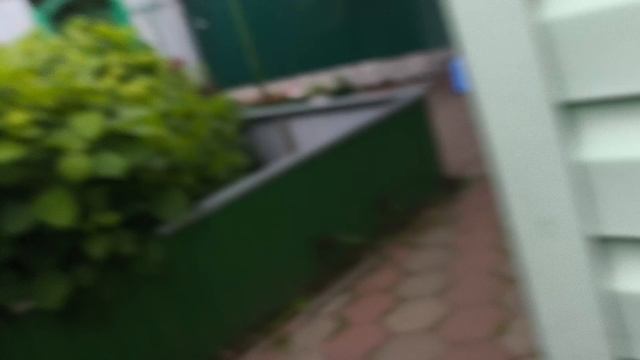 прятки1