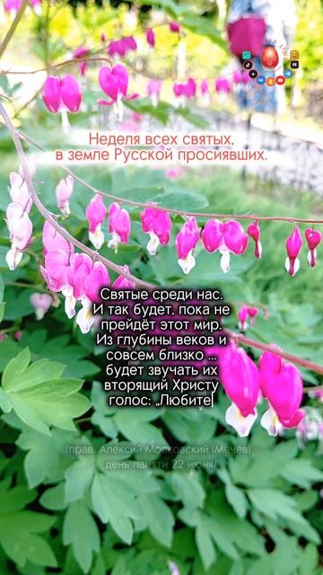 Они среди нас!..