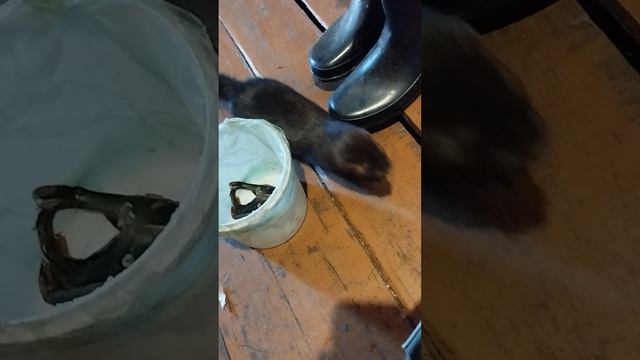 1000004864.mp4