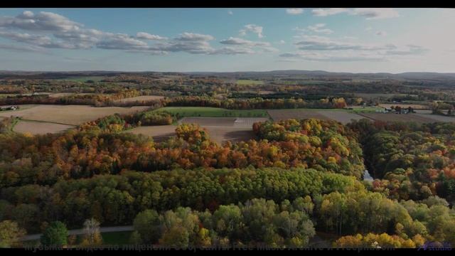 Почему все помешаны на этом - Reflections -- Scott Holmes Music -- Indie-Pop + Acoustic Background M