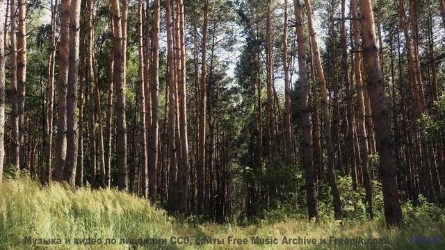 Эта дорога ведёт к месту, где начинается ваша история! - East Coast Bays -- Hope and Social -- Yorks