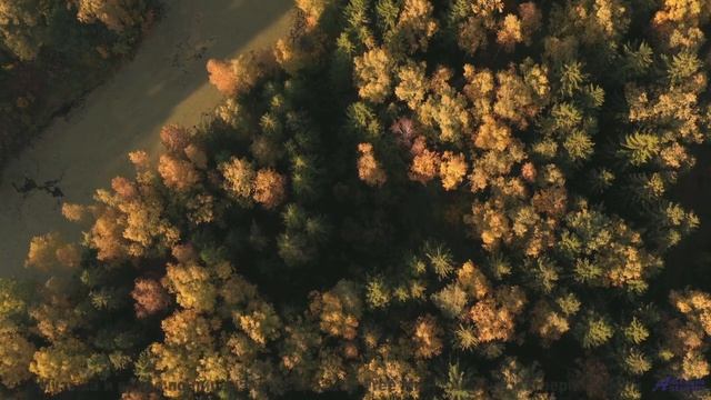 Вы не путешествовали, пока не услышали этот саундтрек! - Me and You -- Derek Clegg -- Old Town Worry