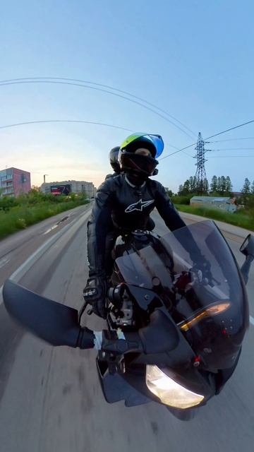 Как кот