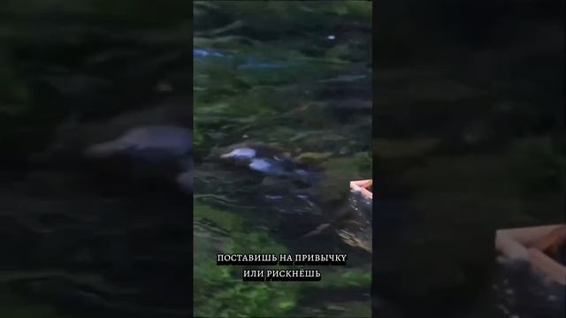 тенденции дня
