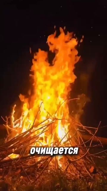 Фраза для завершения дня #сильная фраза #фразадня #сильныеслова