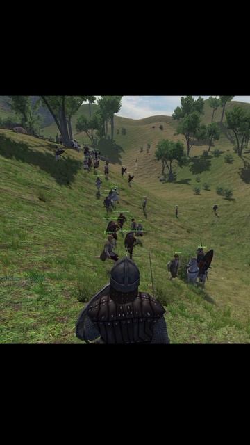 The joy of victory⚔️ #mountandblade #rpg #gaming #game #gameplay #games #gamer