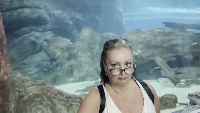 Отдых Сочи) Едем в Адлер в Океанариум Sochi Discovery World Aquarium)))