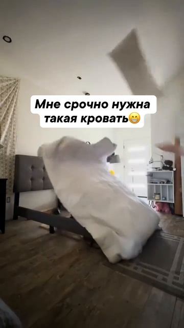 1000007337.mp4