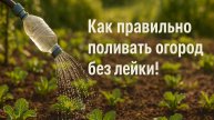 Как правильно поливать огород без лейки — только шланг и пластиковая бутылка!