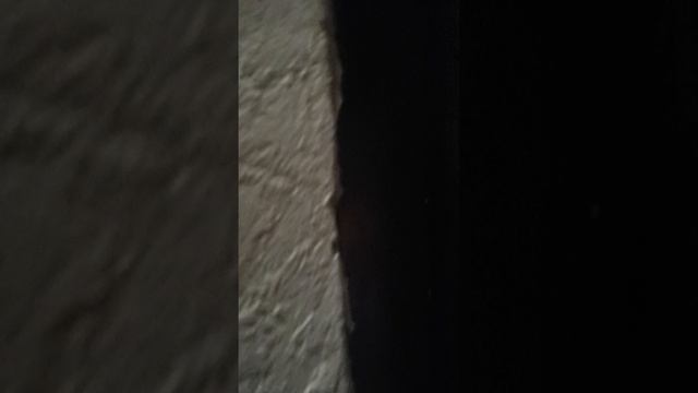 VID_20250621_230053.mp4