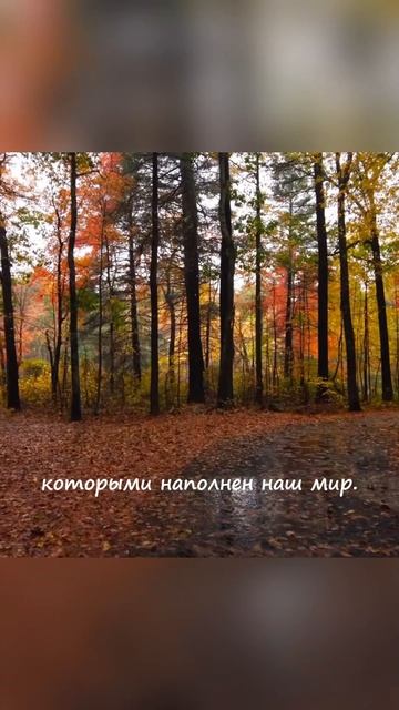 Сила твоего подсознания! #душа #медитация #психология