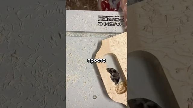 история