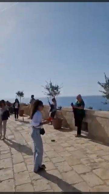 Mamula 1