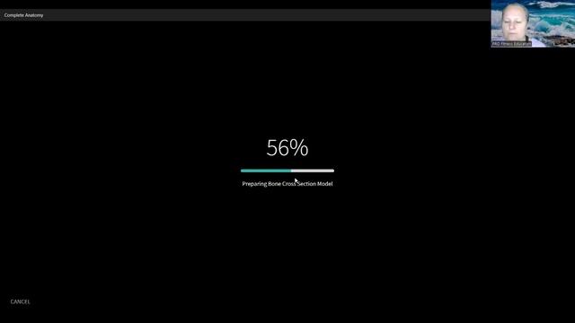 Верхняя лобковая связка. Таз и крестец. - Pro Fitness Education (720p, h264)