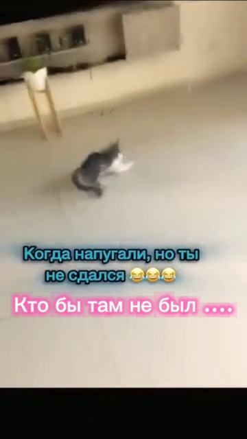 ...🫠....,