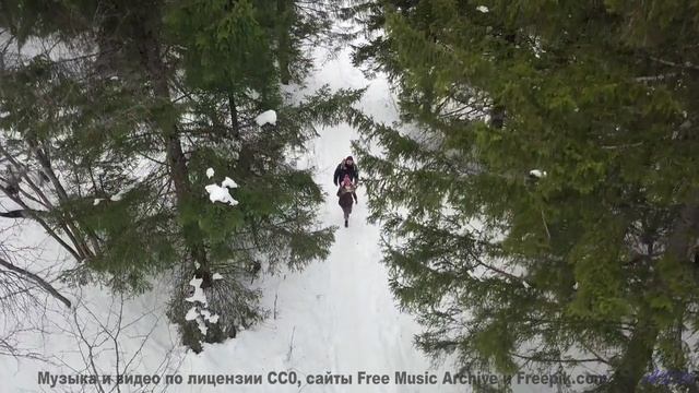 Леса и поля становятся личным храмом под этот трек - Add a Line -- Derek Clegg -- The Middler