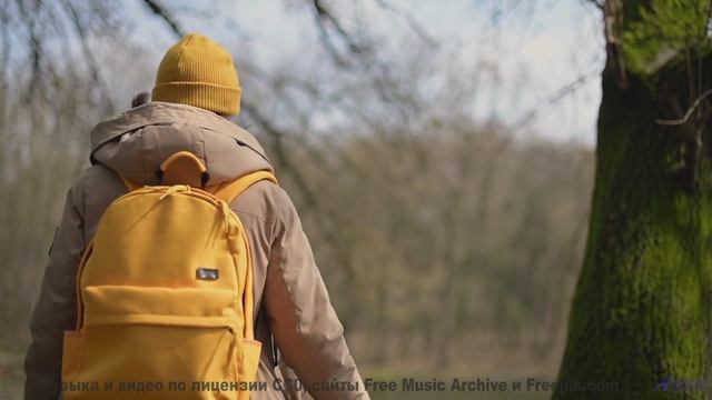 Музыка наполняет душу лёгкостью при каждом кадре - Iluvmytesla  Maarten Schellekens -- Independent M
