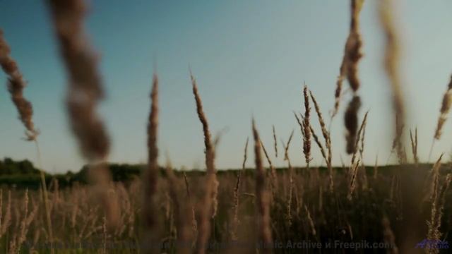 Музыка рождает восторг при каждом аккорде - Beat 9 -- Kirk Osamayo -- Season Two (ORANGE)