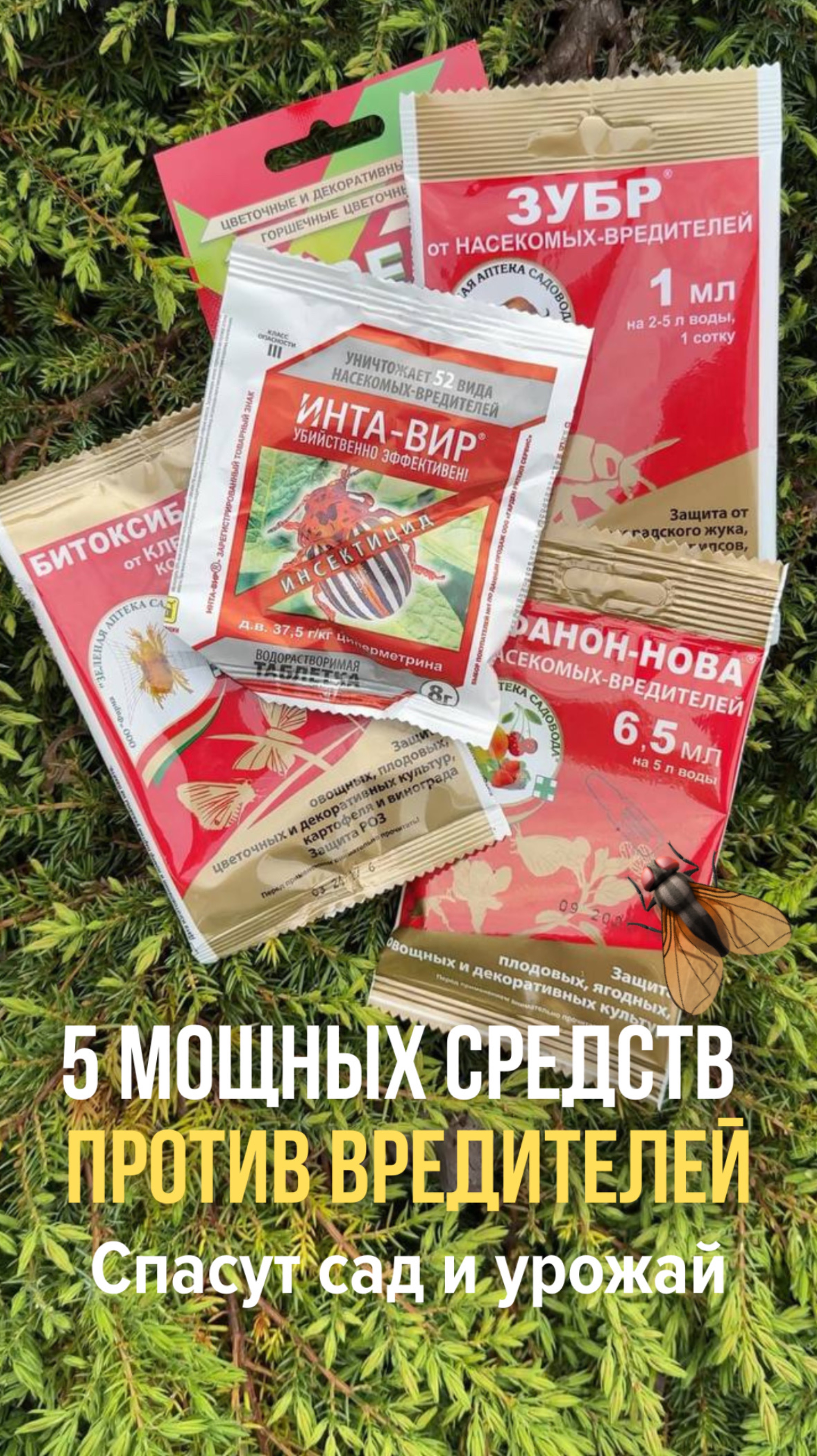 🎯 5 препаратов, которые спасут ваш сад от вредителей