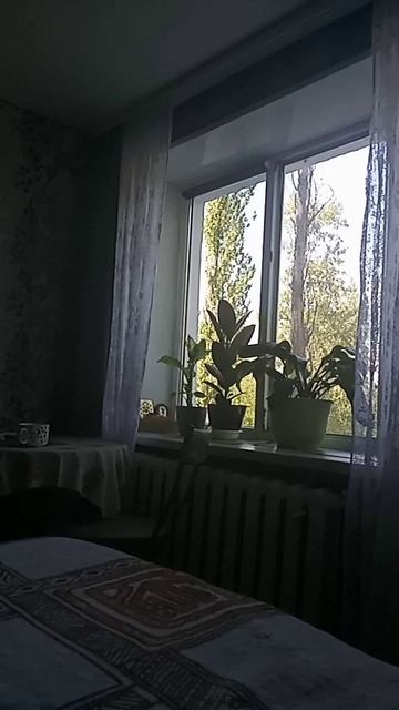 scene_output.mp4