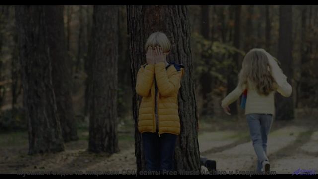 Этот звук под эти пейзажи разорвёт ваше сердце - Elephants On Parade -- Podington Bear -- Meet Podin