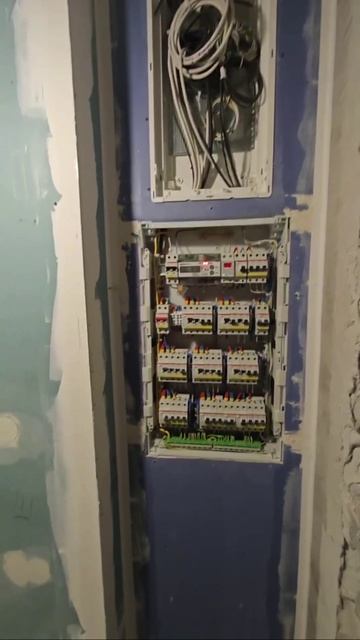 Установка электросчетчика в квартире на Рижском проспекте