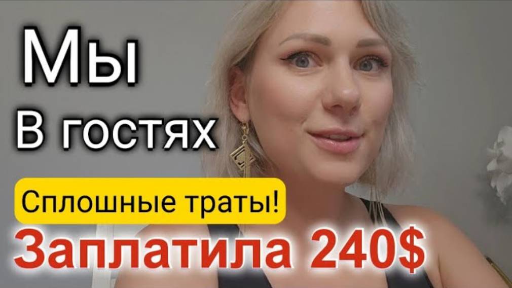 Лиса в Америке. Началось с покупок, а закончилось Визитом в гости и походом в кино!