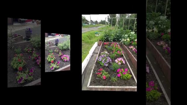 1000005457.mp4