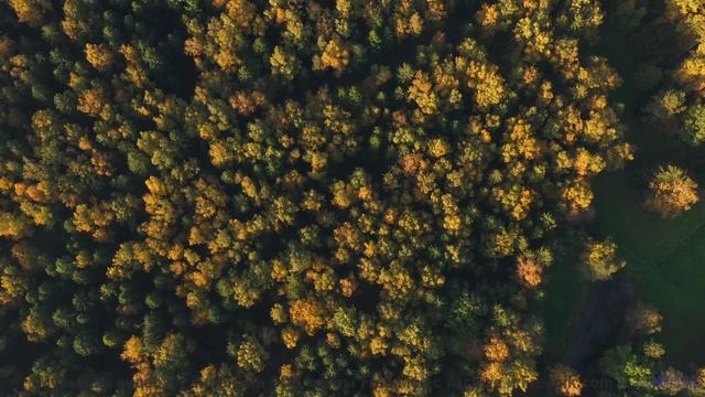 Звуки, открывающие порталы в другие измерения - готовы ли вы к путешествию - Maiah Wynne-Oct 2017-LI
