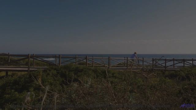 Что не так с этим видео Найдите 10 отличий! - Avispa (XXIII) -- opo -- Estudios Indigeniformes