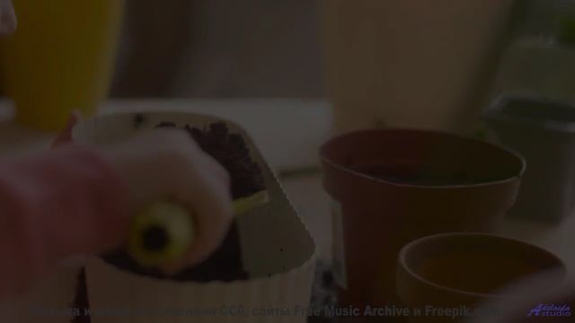Хочется бежать по полям под этот невероятный саунд - chonk -- Vincent Augustus -- Chonk
