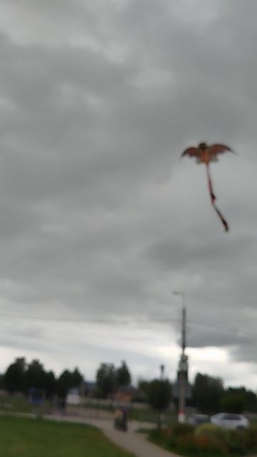 1000004586.mp4