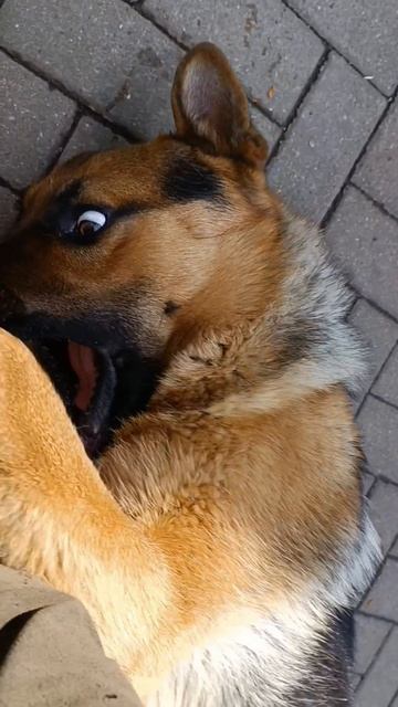 безумный взгляд