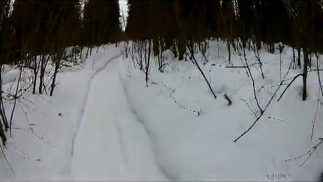 Лыжня г. Усинск