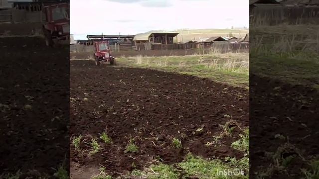 Трактор🚜 Т-25