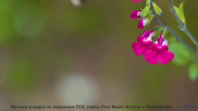 Саунд заставляет почувствовать природу кожей - Upper Atmosphere -- Kirk Osamayo -- Season Two (PURPL