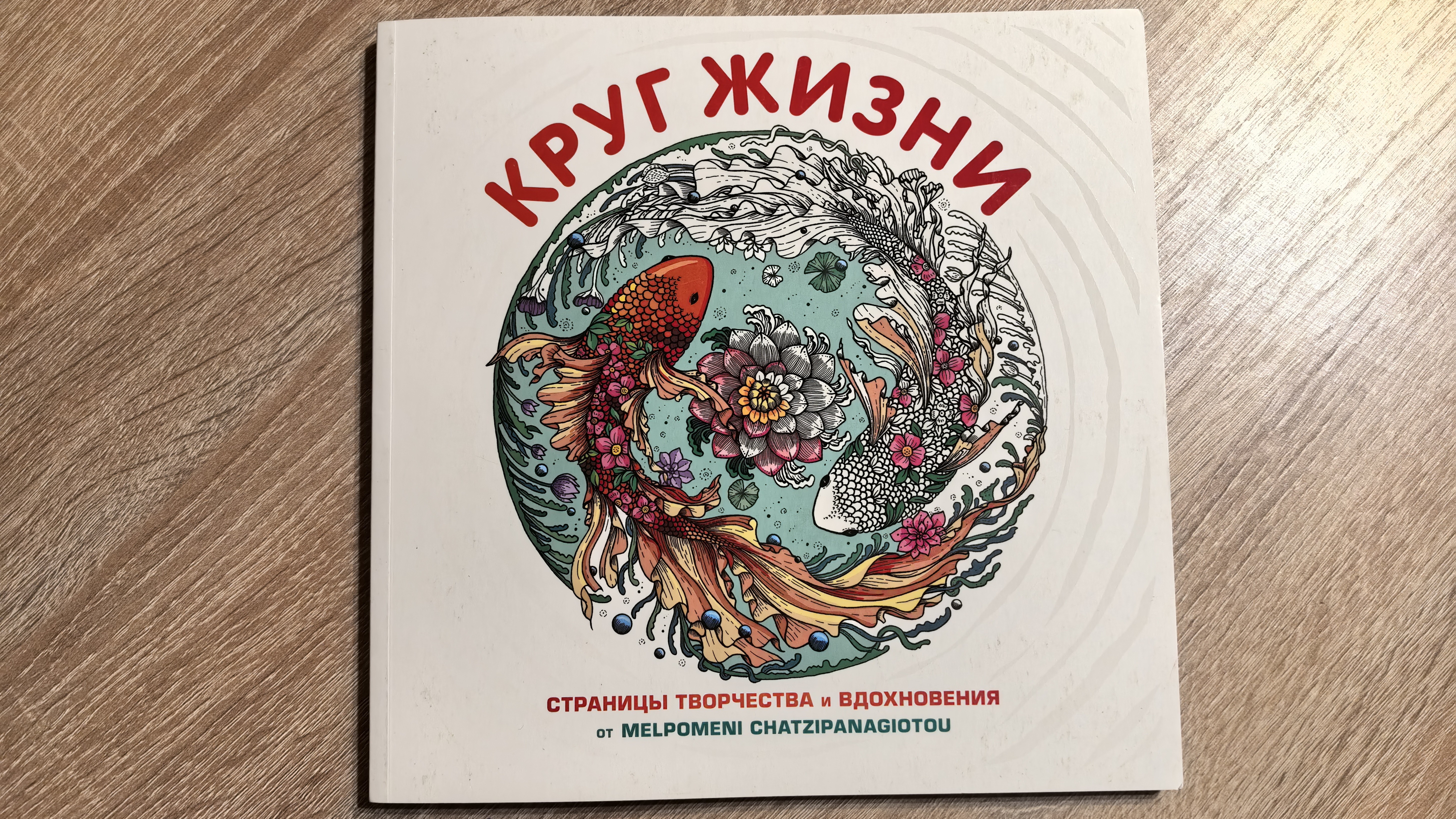 Совместное раскрашивание |  Солнце из раскраски Круг жизни
