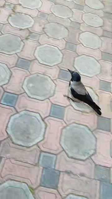 Угощаю, бери!