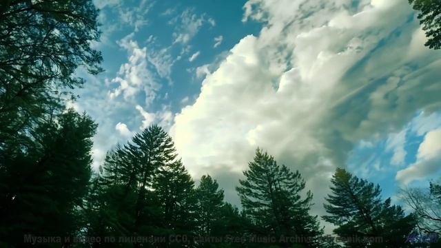 Это видео - билет в рай, а музыка - ваш гид! - Inn Zone + Cloud A -- Ov Moi Omm -- Unnamed album